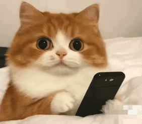 https://upload.hkgolden.media/comment/0fcdp1zz.ri2n5z42cwd.j50dxoa30pr.hc2.gif