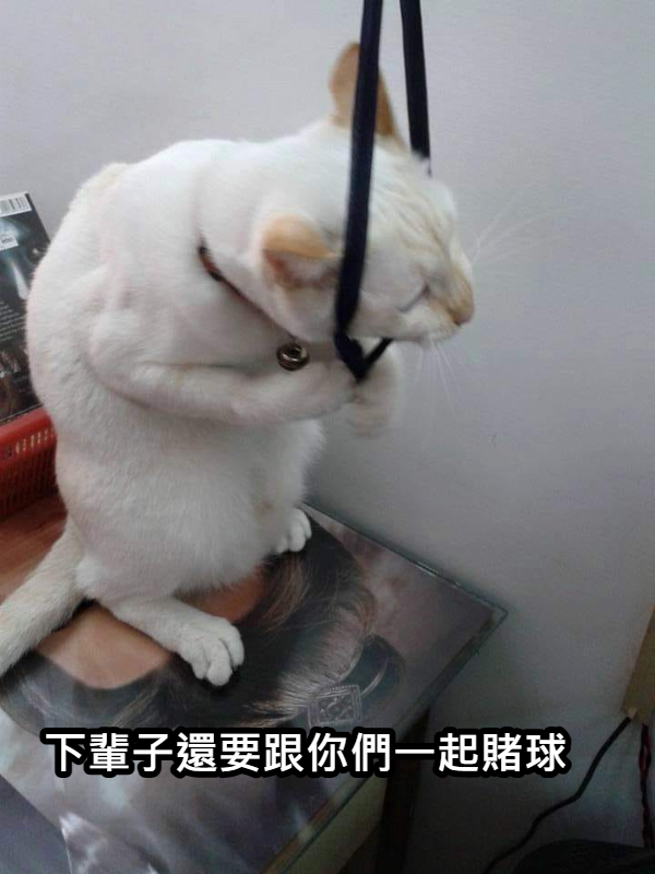 https://upload.hkgolden.media/comment/0ka1qqyw.banftyzmvdd.led2omrgcms.5mr.png
