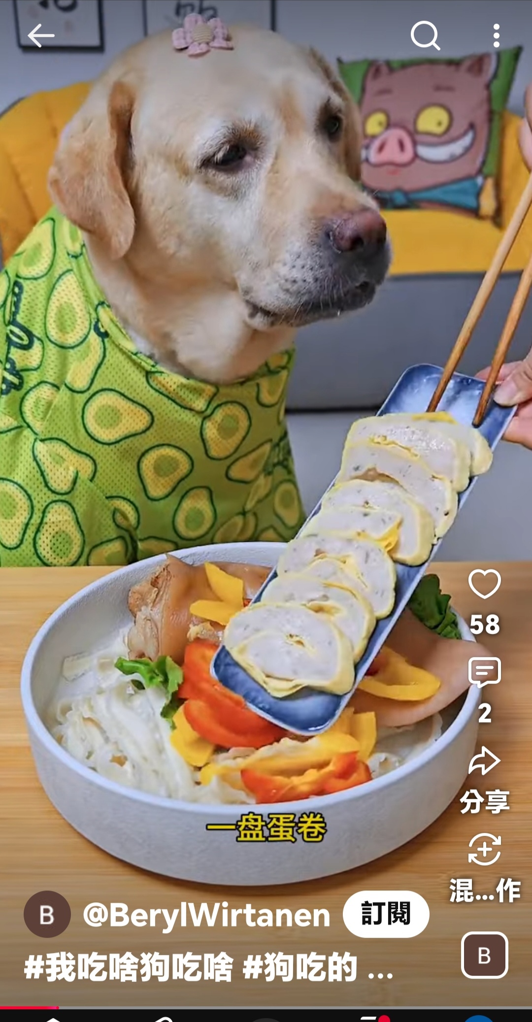 https://upload.hkgolden.media/comment/0pdhua4m.syjpn5rfpwy.nwrfqpezbp1.br5.jpg