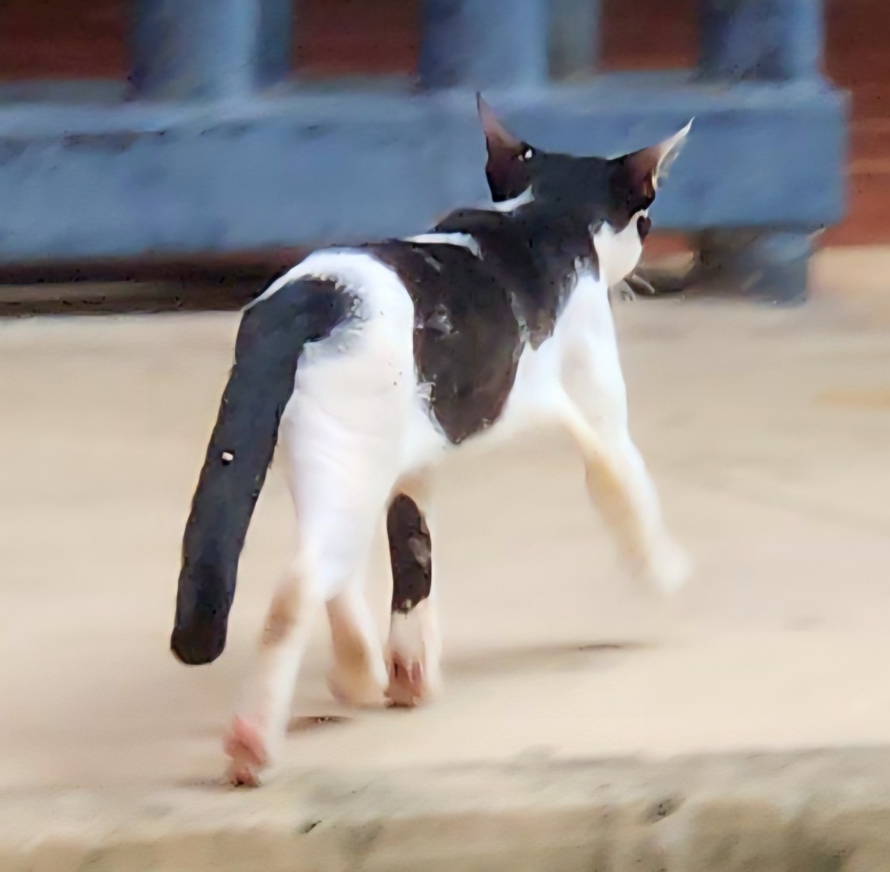 https://upload.hkgolden.media/comment/0r3f0k1a.qsyd4ae0xs0.dnehppmvpf1.ba1.jpg