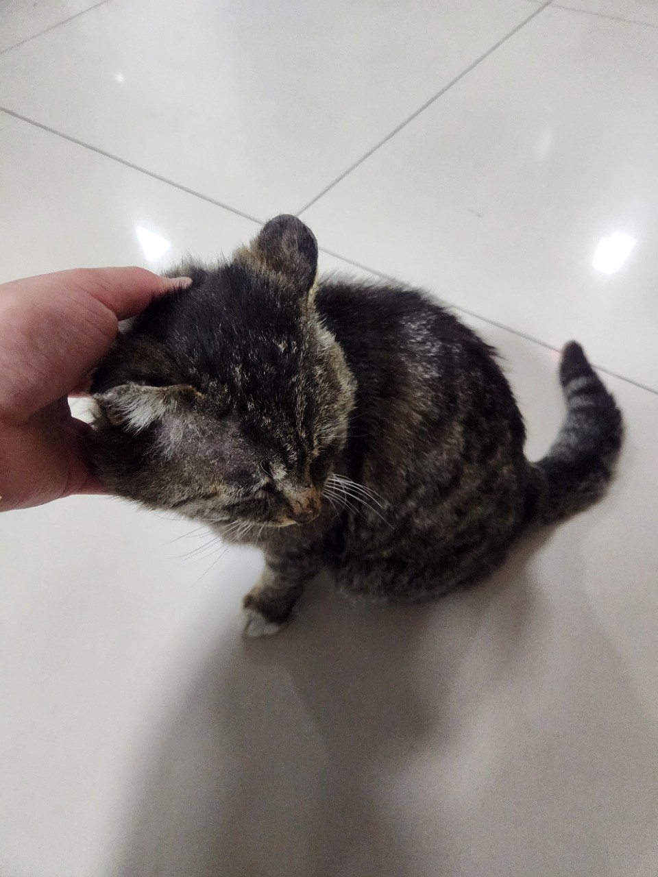 https://upload.hkgolden.media/comment/1j0wzqfr.1b1rvmrkzjd.5r4sydgtej4.wii.jpg