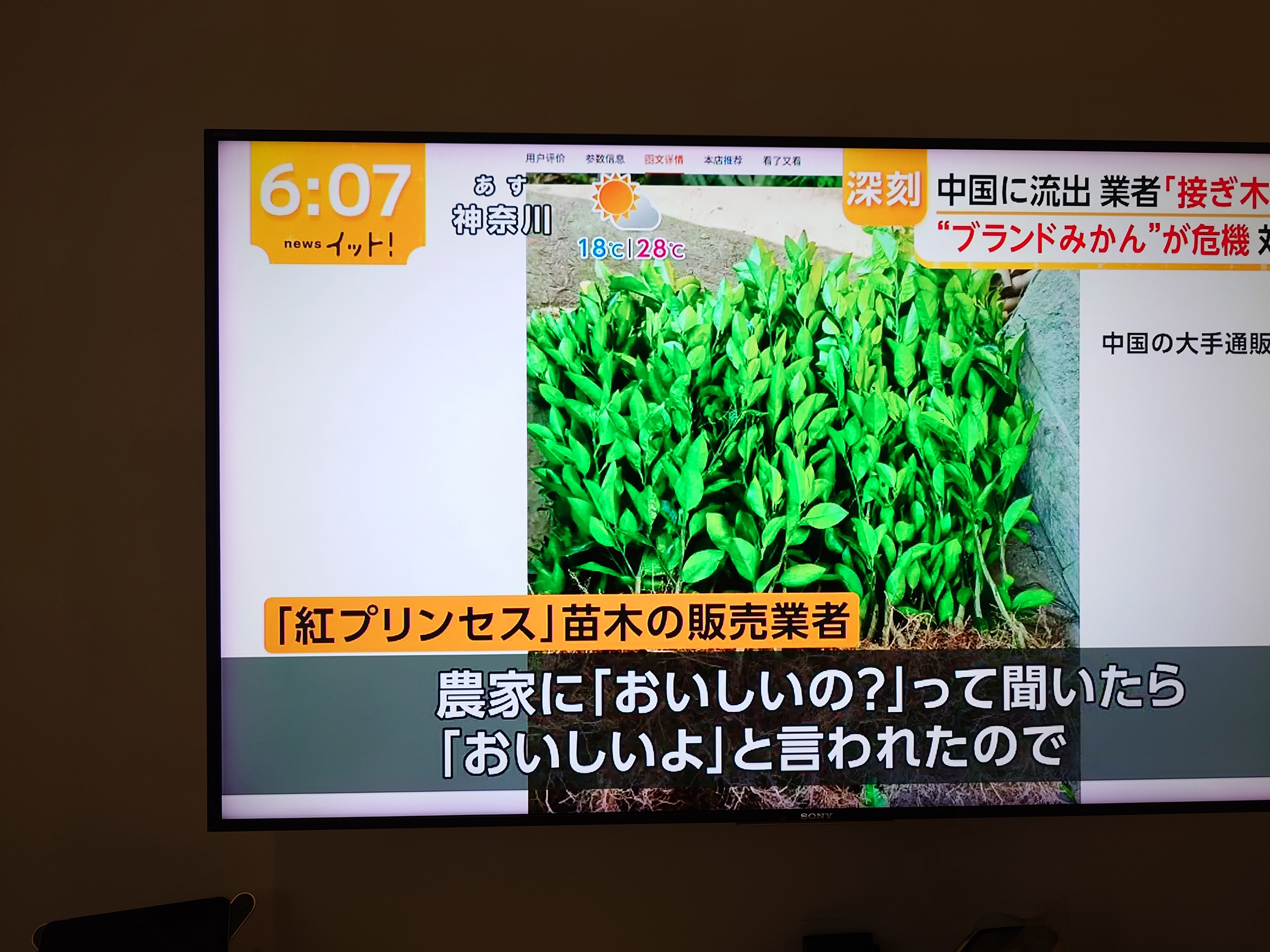 https://upload.hkgolden.media/comment/1vx5fins.wrx52jrggzk.ifptc0gxdrs.nzk.jpg