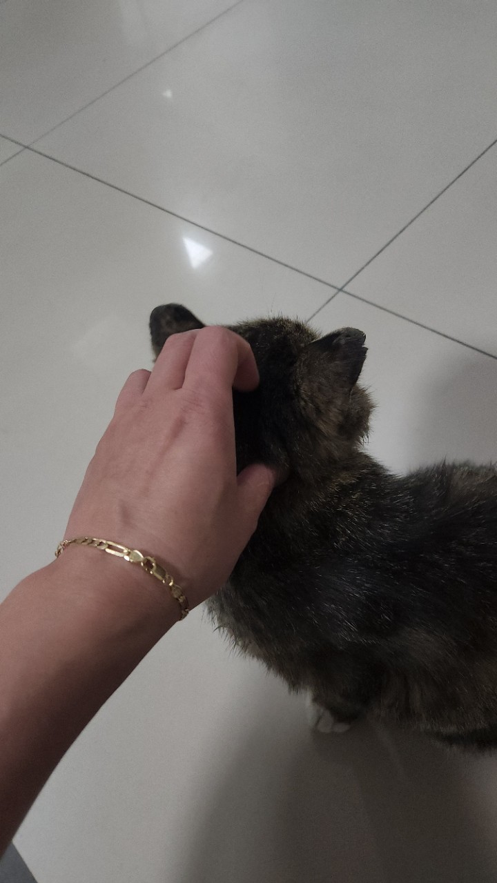 https://upload.hkgolden.media/comment/2bcxuug5.qzjlzhwkx3t.vvjege0pigv.5gj.jpg