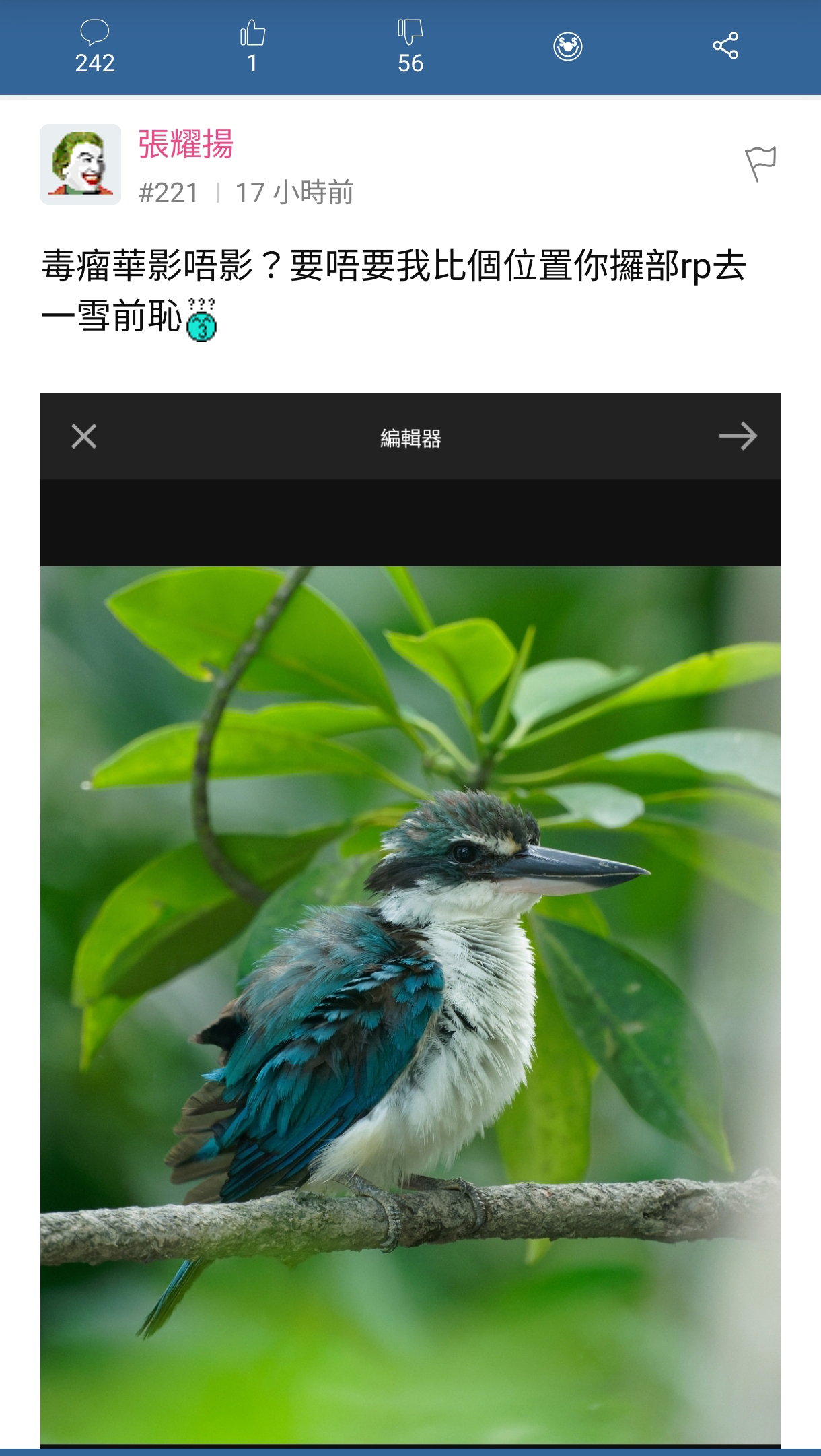 https://upload.hkgolden.media/comment/2g4tgc4r.qp2qrj0pou0.v0pcl0mlb12.tto.jpg