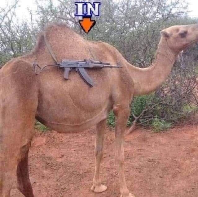 https://upload.hkgolden.media/comment/2mv1cgue.ht5stcjlt5i.0u2lekmu5sk.dam.jpg