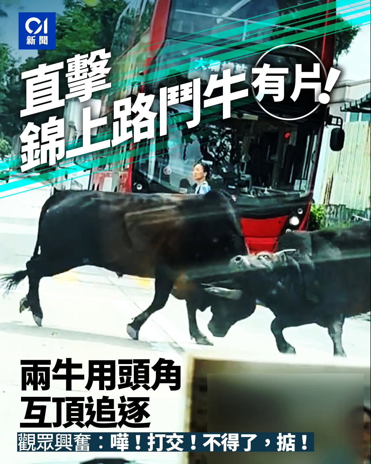 https://upload.hkgolden.media/comment/3bqaqewq.wej44rdedlo.rmrjyjpl0qy.z4i.jpg