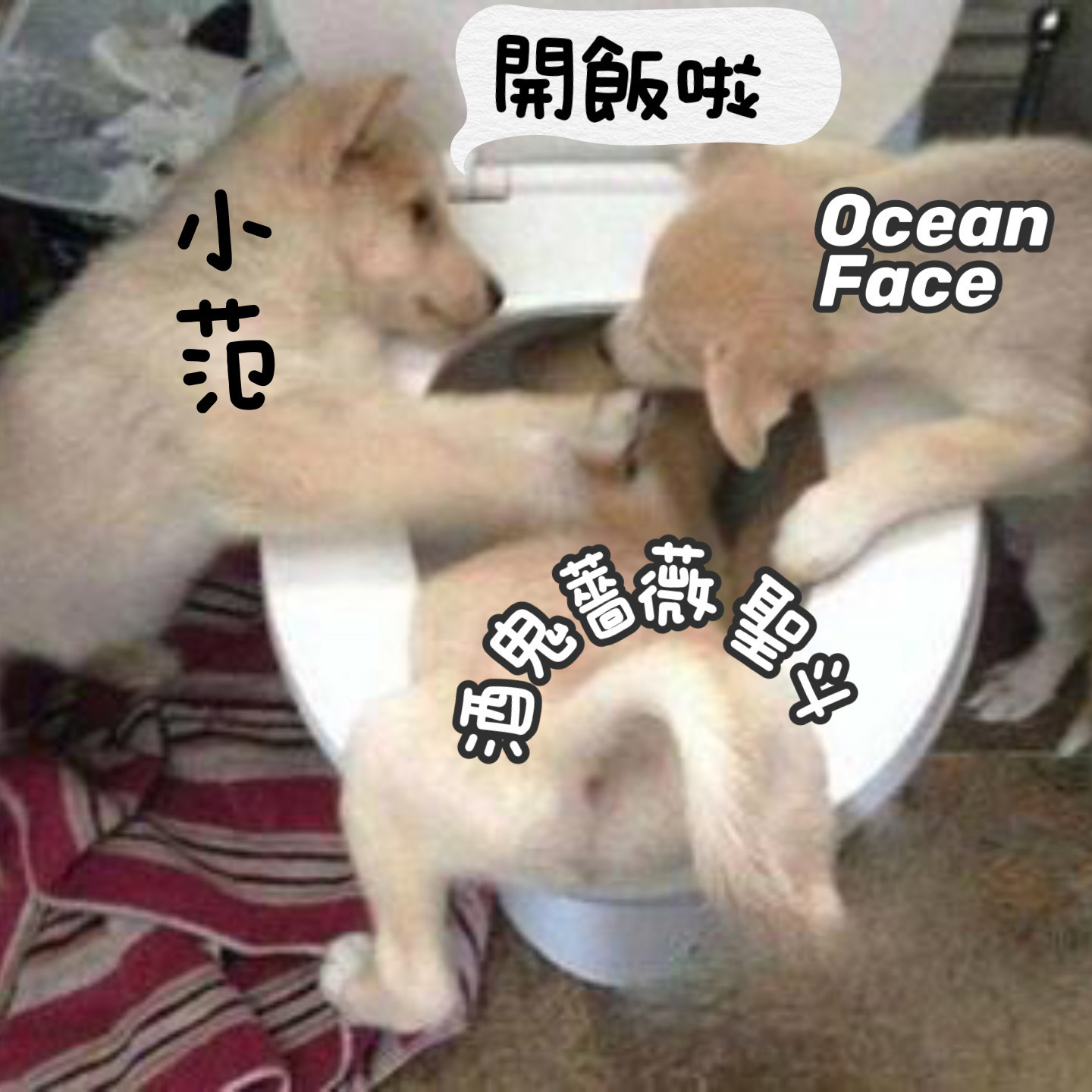 支爆專家 酒鬼薔薇聖斗 = 大陸佬戴綠帽 原來 深圳返工 - 香港高登討論區