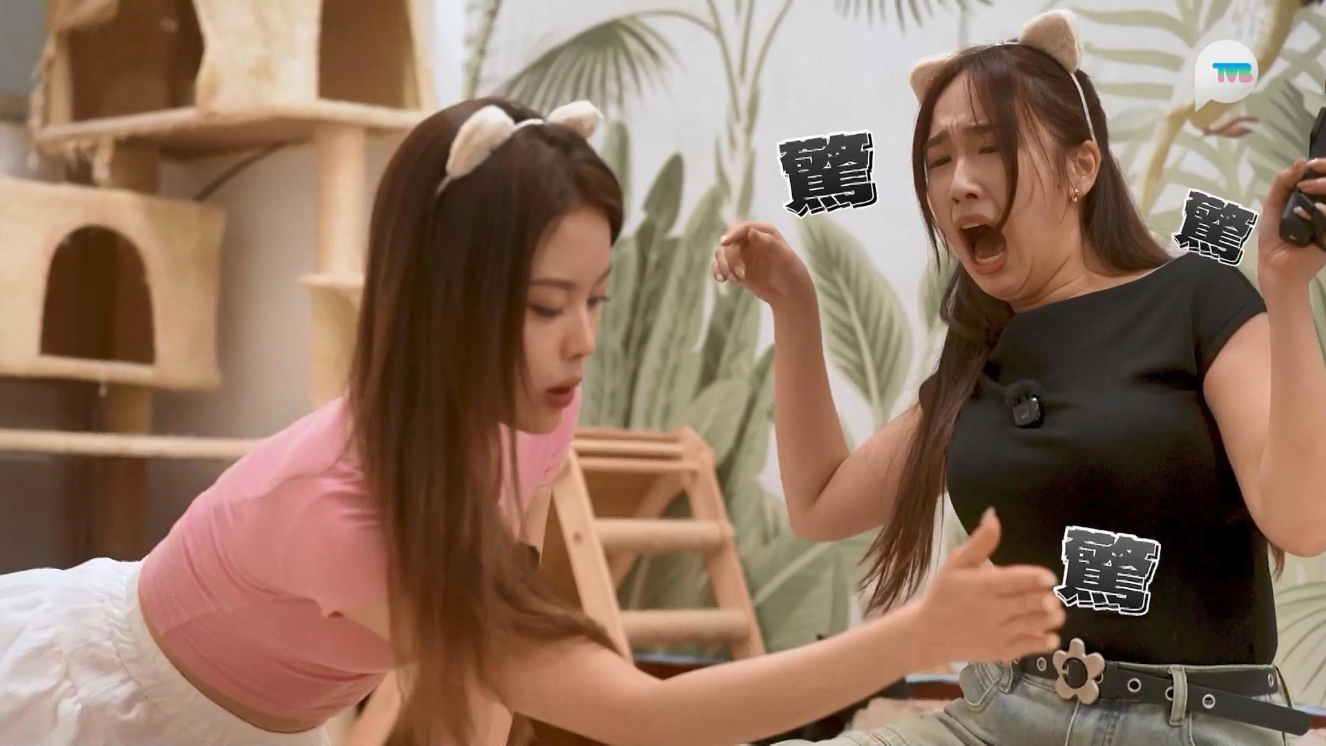 https://upload.hkgolden.media/comment/3ia0cw0f.gxnqhhaolrr.kbd5e3oyial.0qj.jpg
