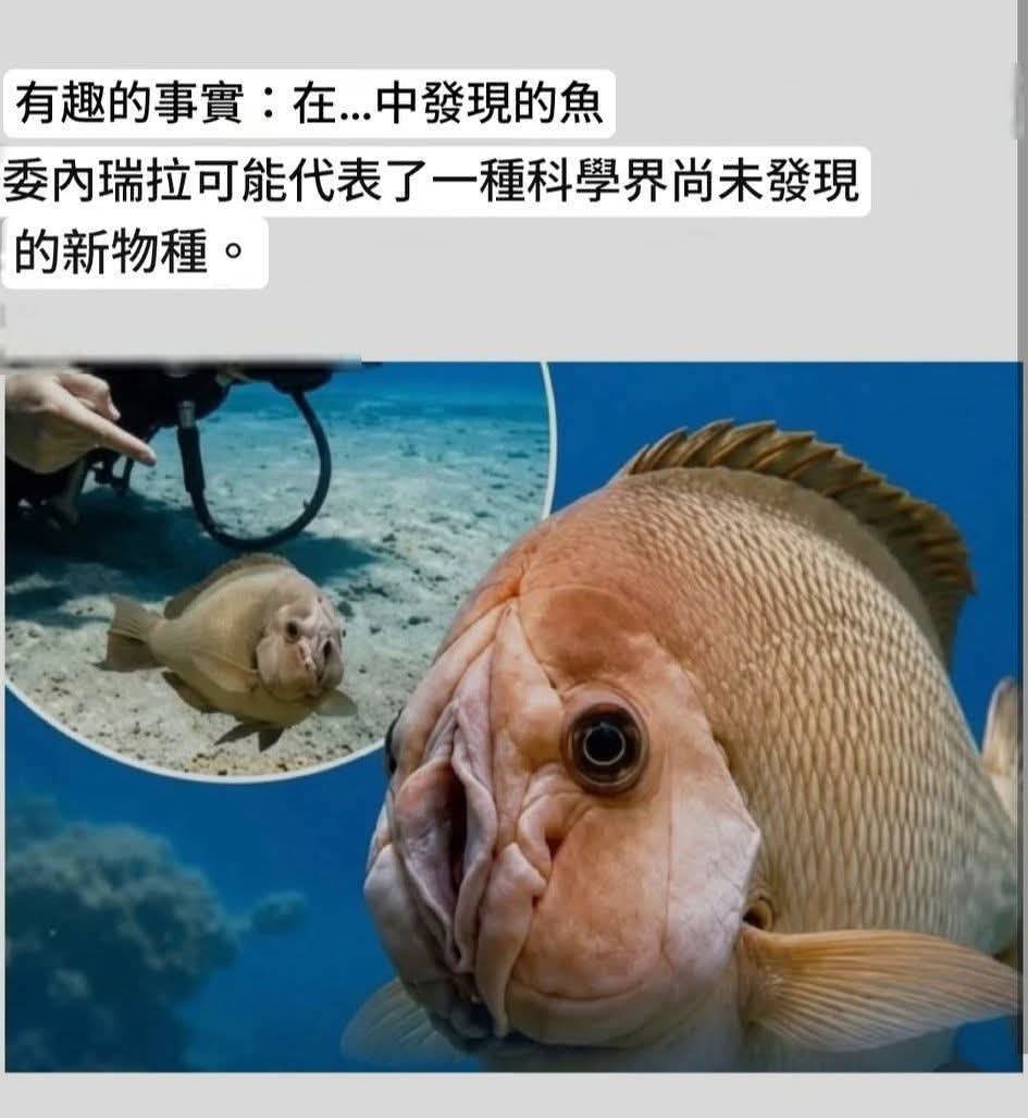 https://upload.hkgolden.media/comment/3irspg4q.yxiyiztfk4t.kovp1a2dwsb.eml.jpg