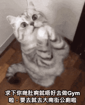 https://upload.hkgolden.media/comment/4fm3fheg.x5zoql11yjp.j3on5gune24.tqg.gif
