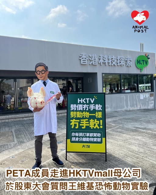 https://upload.hkgolden.media/comment/4ptjeacn.lp0tpftg5bw.1enrhzuepjv.nmp.jpg