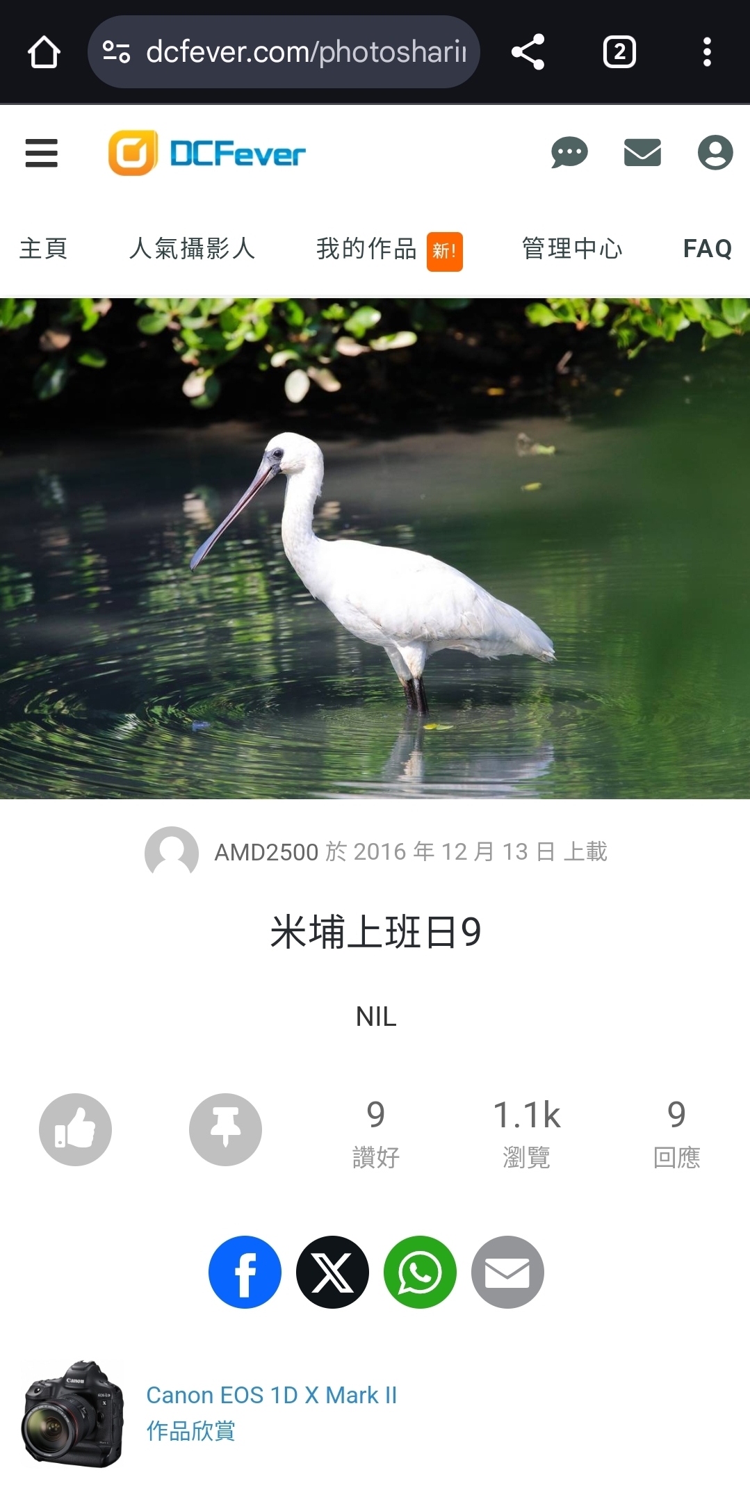 https://upload.hkgolden.media/comment/55uzidjv.cs0boahal55.gput5ipiure.zor.jpg