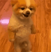 https://upload.hkgolden.media/comment/asduko1p.cyh0jg53oii.u4hhhoesa3e.tfl.gif