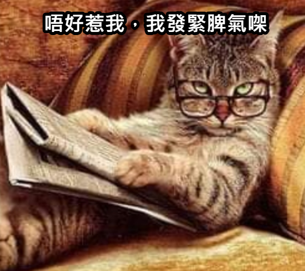 https://upload.hkgolden.media/comment/auldjygl.nnbut5xpae4.xwbkptbgwqx.0lz.png