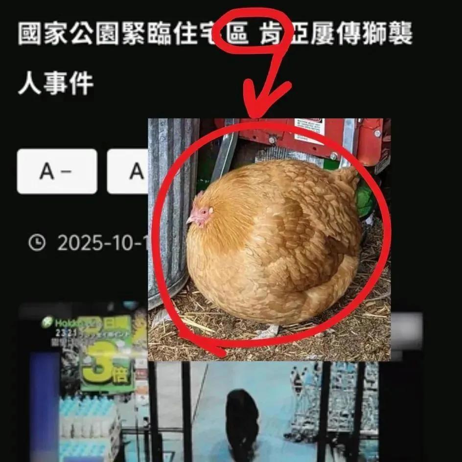 https://upload.hkgolden.media/comment/bnwfzhwd.hb1djfgdpkg.1yich0nxdeo.eov.jpg