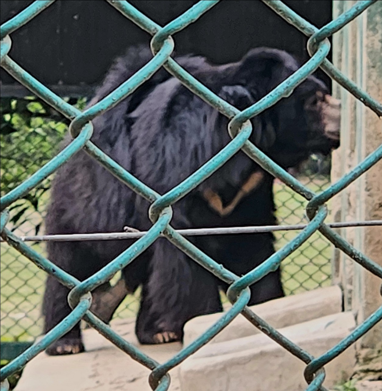 https://upload.hkgolden.media/comment/bycqk2vu.ephxhonamir.fvujvuna1h1.wll.jpg