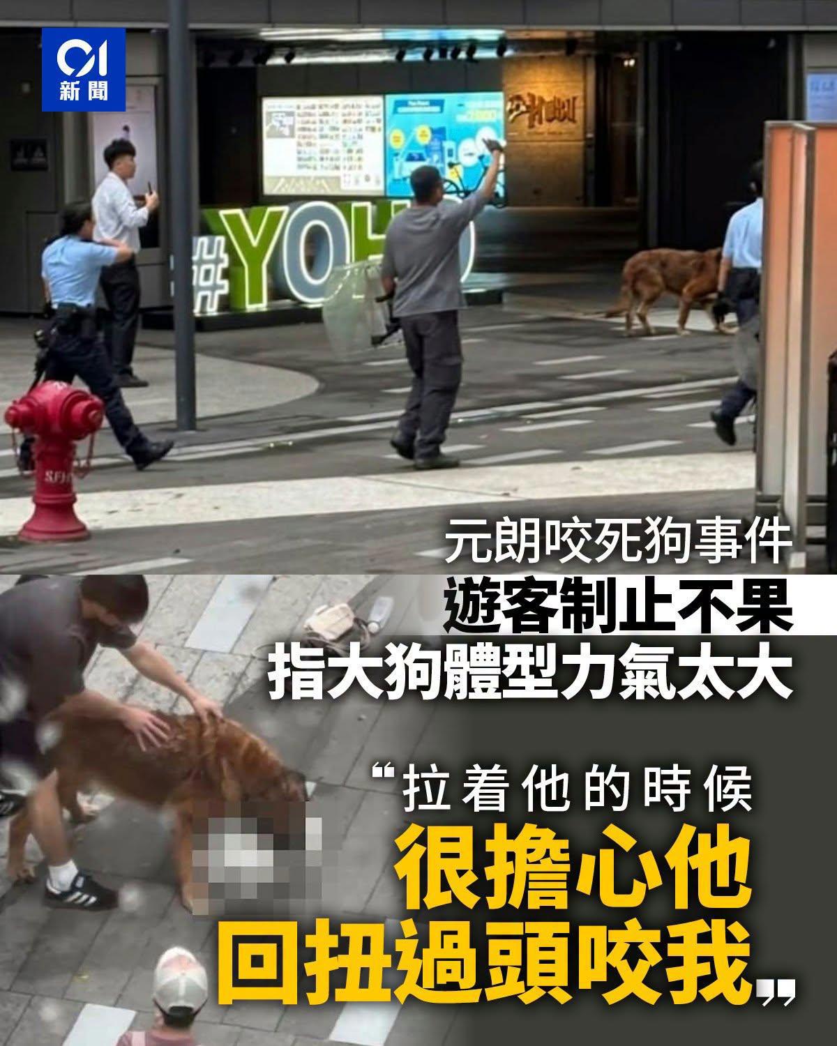 https://upload.hkgolden.media/comment/cfocsptb.tz4rbnczsck.cmxaijd3r2k.wip.jpg