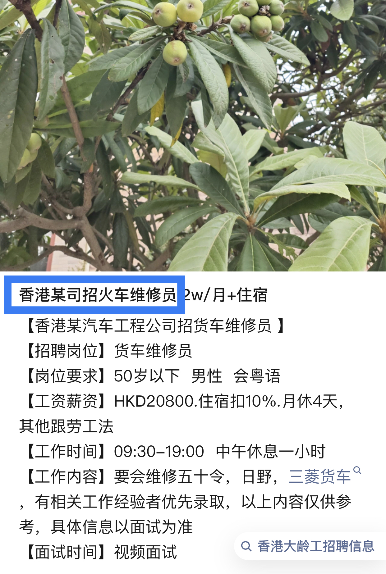 https://upload.hkgolden.media/comment/ckyw5ja4.vllp0uhyqga.okihsv3maot.nin.jpg