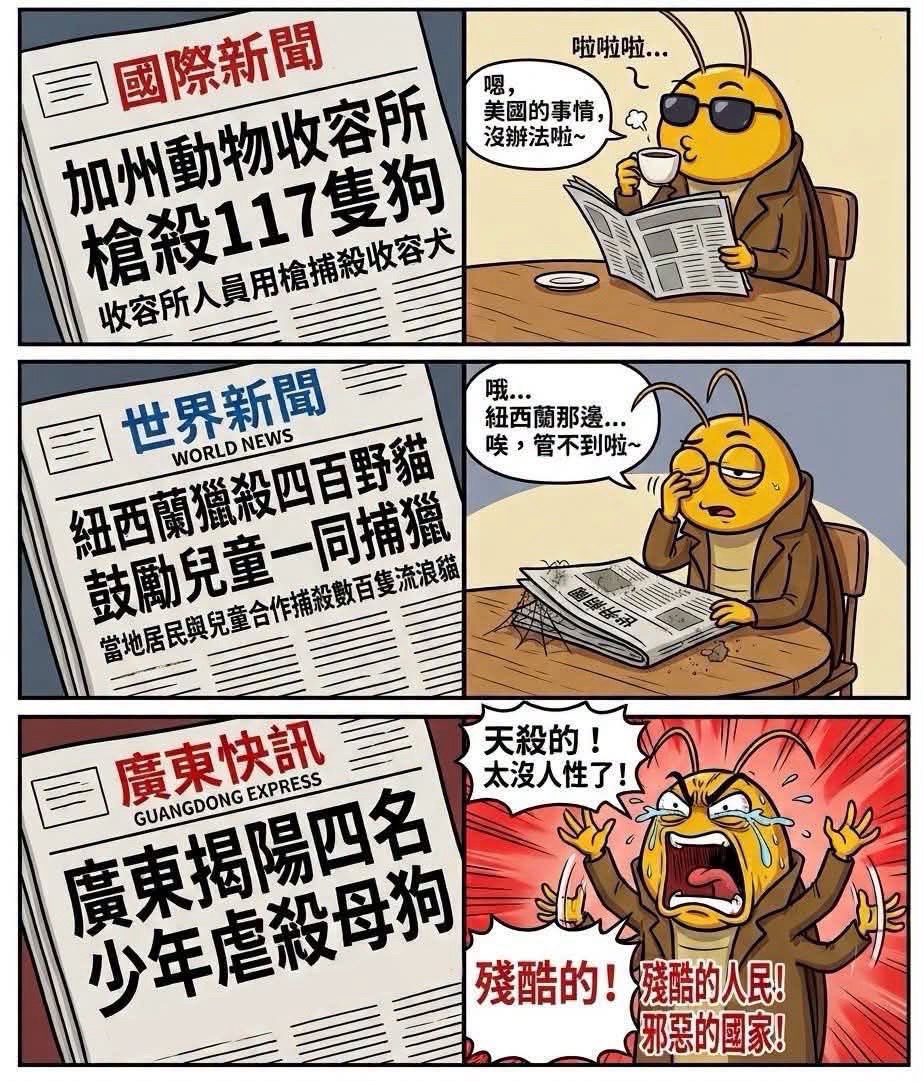 https://upload.hkgolden.media/comment/co3545bp.nhzncvzbxhj.jkbmcpvsevb.40f.jpg