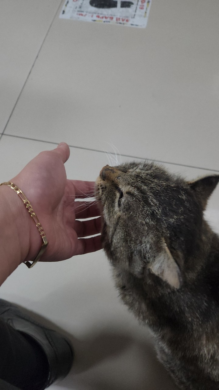 https://upload.hkgolden.media/comment/d0bufznp.ml0q2icunp1.z5samzkcdr5.jzr.jpg