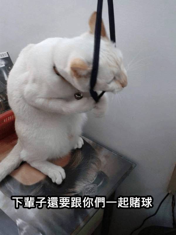 https://upload.hkgolden.media/comment/dcxausxn.5ahreyq0215.3skkk4cv0aj.szz.jpg