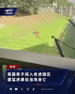 https://upload.hkgolden.media/comment/deb14b4g.x3ns1nts0l0.ekg1ain5zmt.vpm.gif