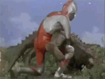 https://upload.hkgolden.media/comment/dnjbp5yb.pjyfkrbfkhk.wrt43kpevk2.dxy.gif