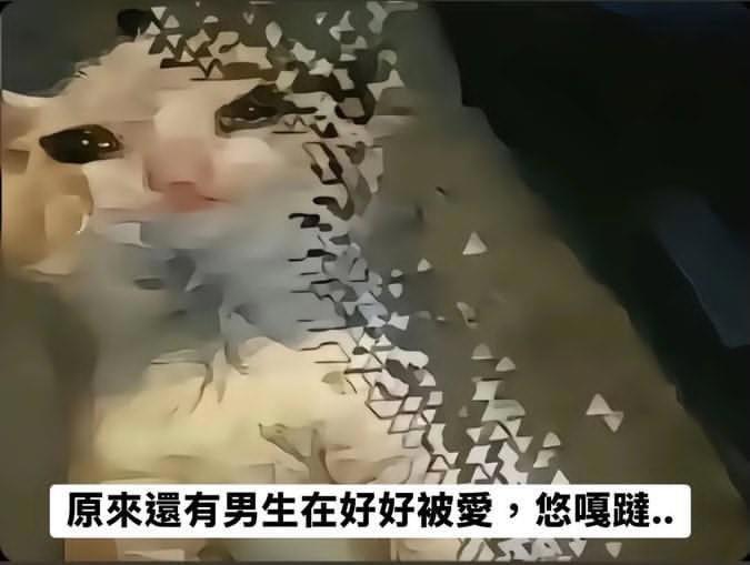 https://upload.hkgolden.media/comment/f1qabkvo.iehwx0c41n1.tcnpuh0gxpw.mpo.jpg