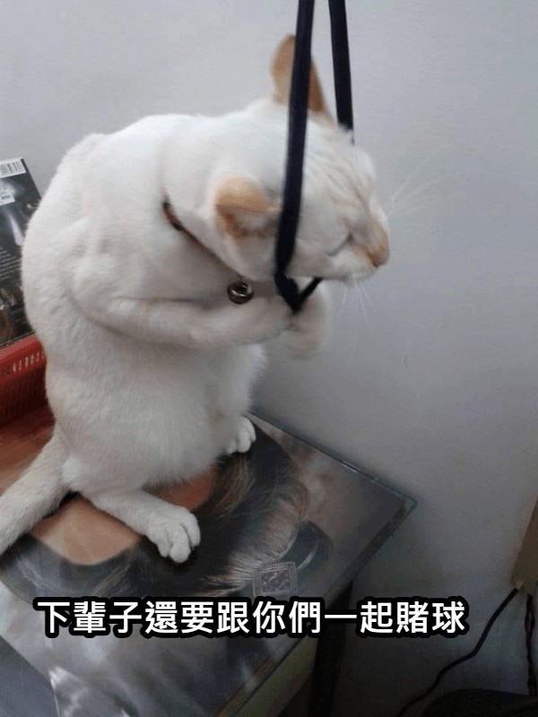 https://upload.hkgolden.media/comment/f5af2ppt.0i2q30mi0jp.3utcuv4chyv.wcz.jpg