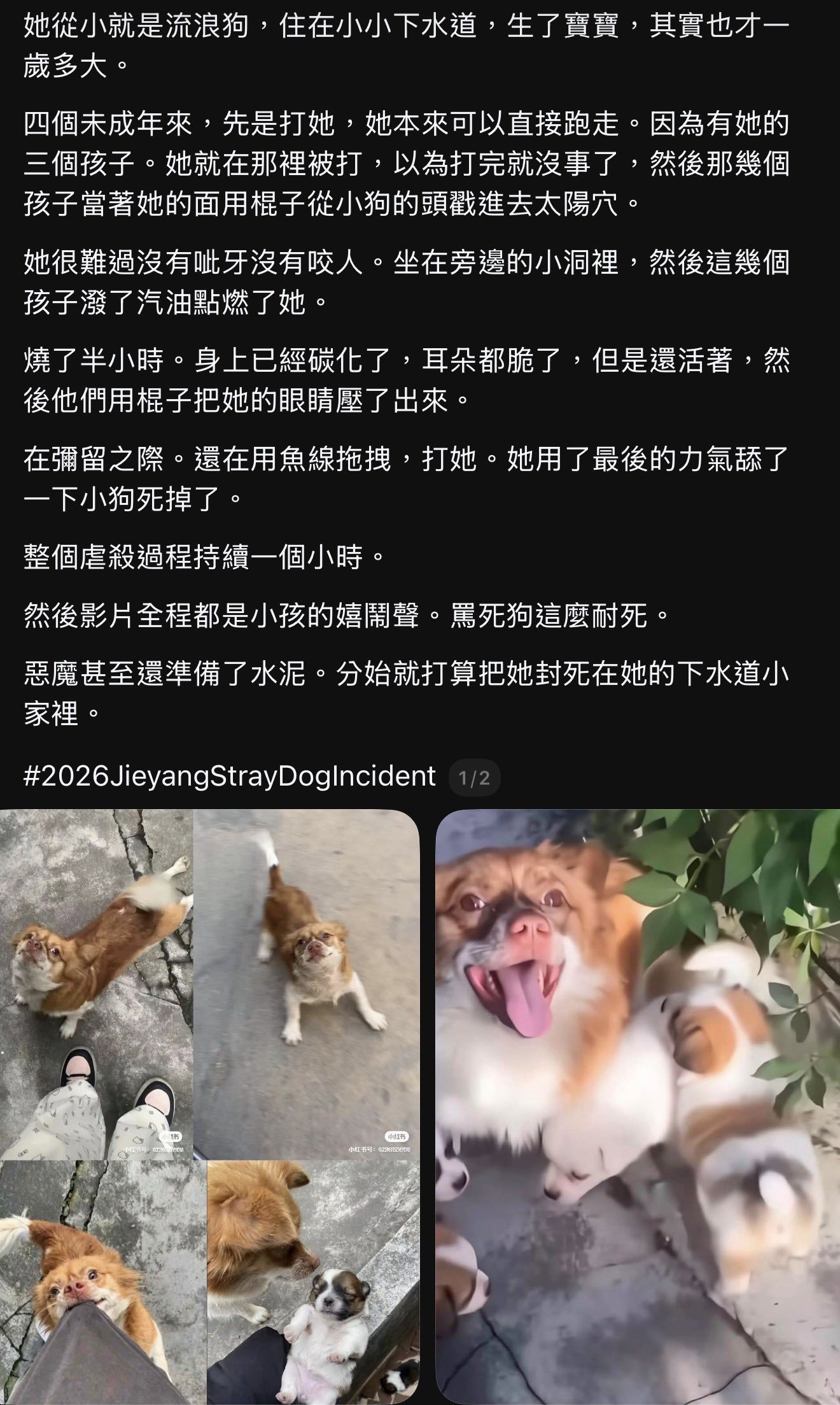 https://upload.hkgolden.media/comment/fd0smmbr.gucmhozq43d.cneoy4ozumo.u4x.jpg