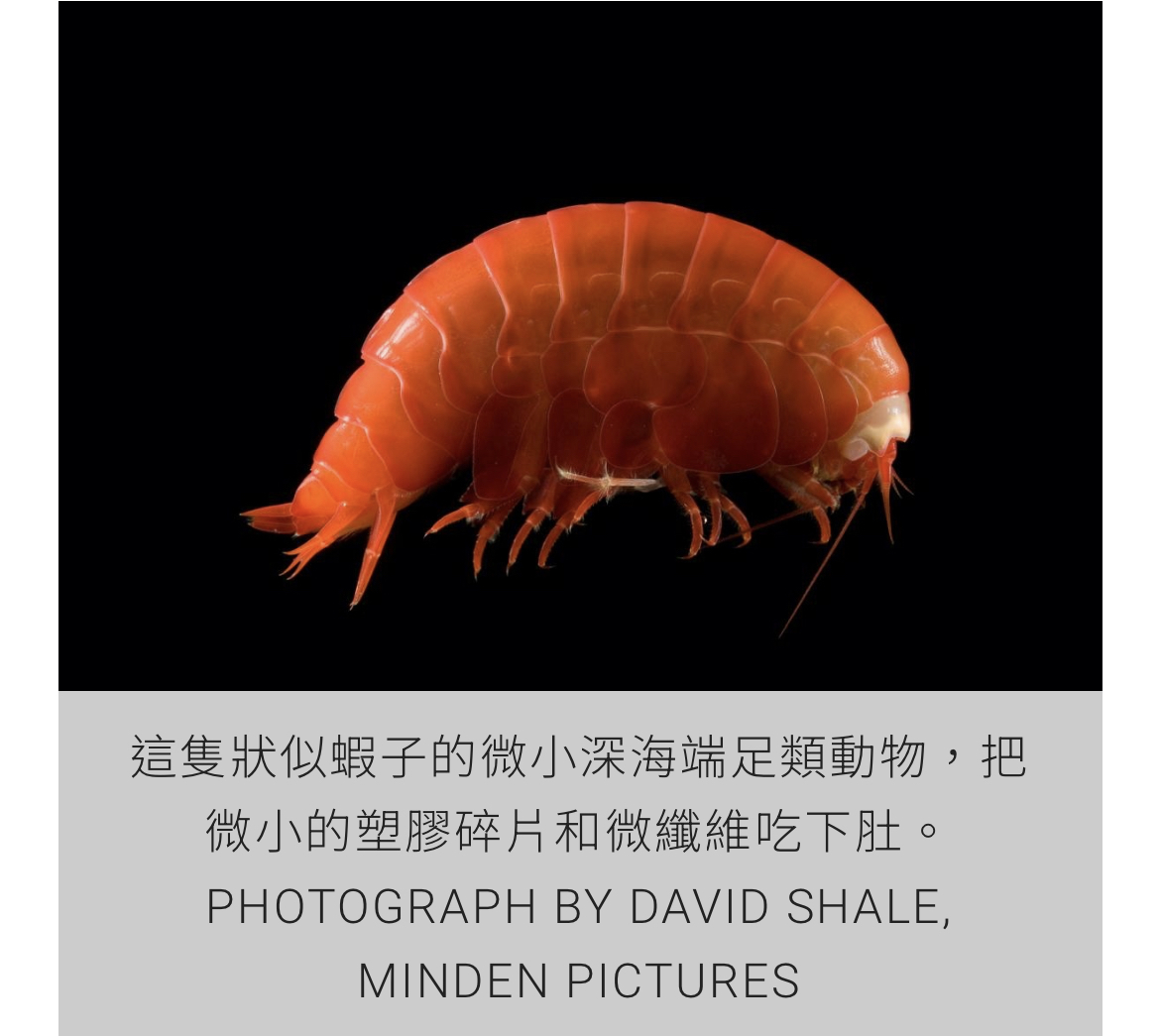 https://upload.hkgolden.media/comment/fgqwuabx.xj0ybe3qykh.yaio5ra5gda.idn.jpg