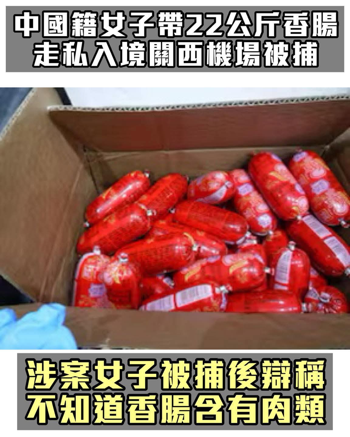 https://upload.hkgolden.media/comment/g5m0gtgs.dvw0e2q23eh.jm1tajg2hni.duu.jpg