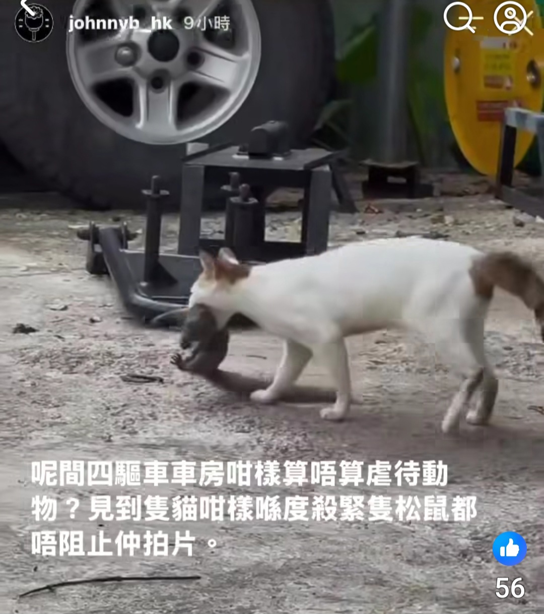 https://upload.hkgolden.media/comment/gm0mggem.fht0otqsmac.aoo5icmru11.w53.jpg