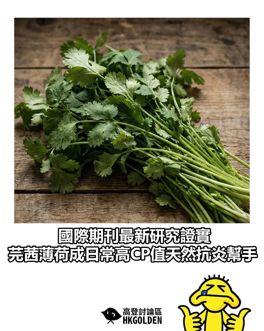 https://upload.hkgolden.media/comment/hlkafxvs.baqgi2srwks.f4nypiwfark.b1u.jpg