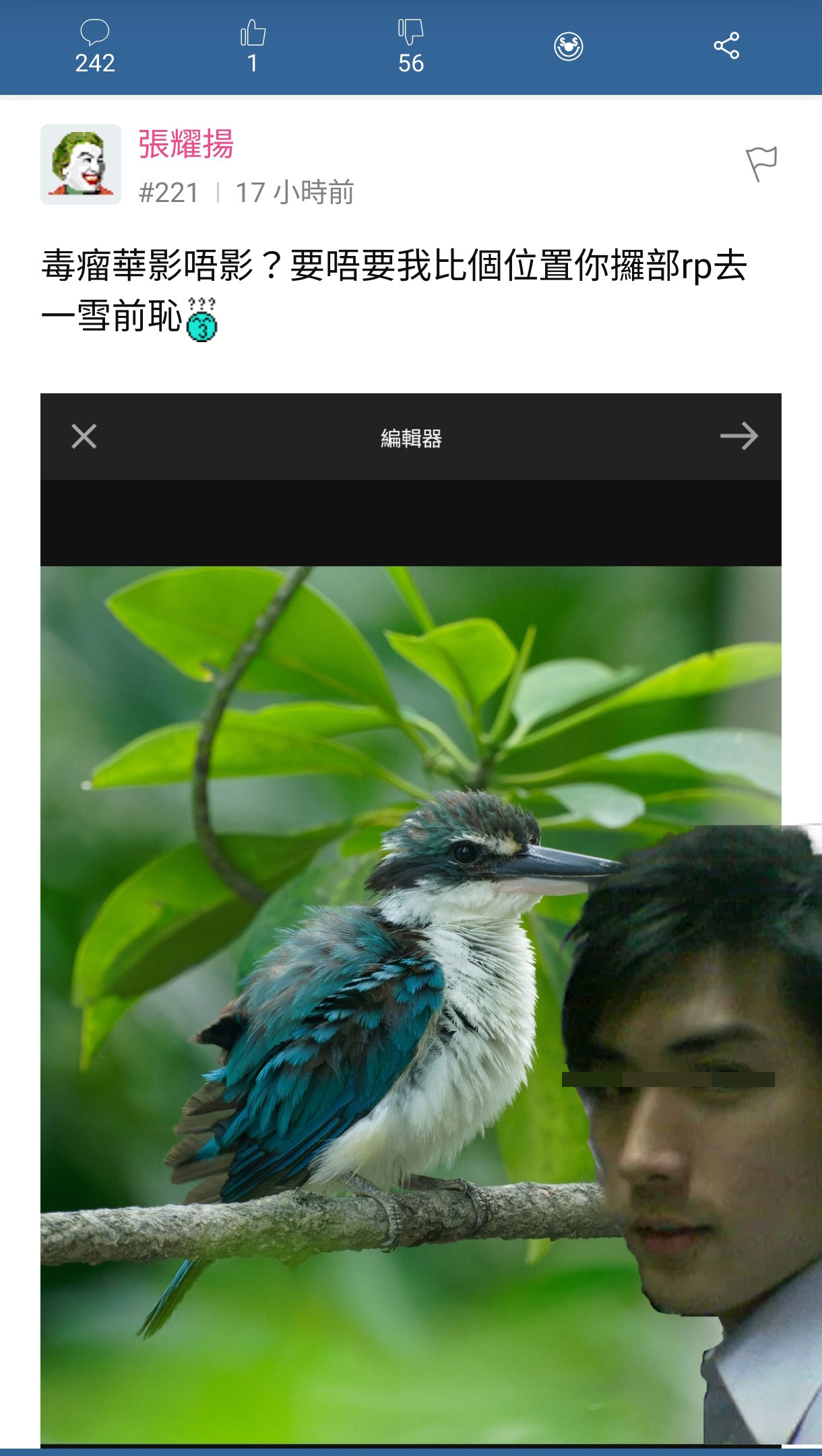https://upload.hkgolden.media/comment/hxkhonpg.kp01enomgqt.evcnjbrclhq.ms4.jpg