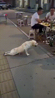 https://upload.hkgolden.media/comment/ieez5frn.zcs23r1tsry.pvoyyrjrxyp.hvf.gif