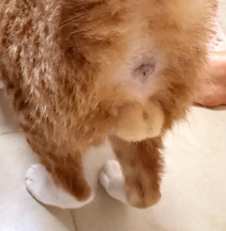https://upload.hkgolden.media/comment/iifxqkik.xjrkhhijpwj.qx32aqelunj.in4.jpg