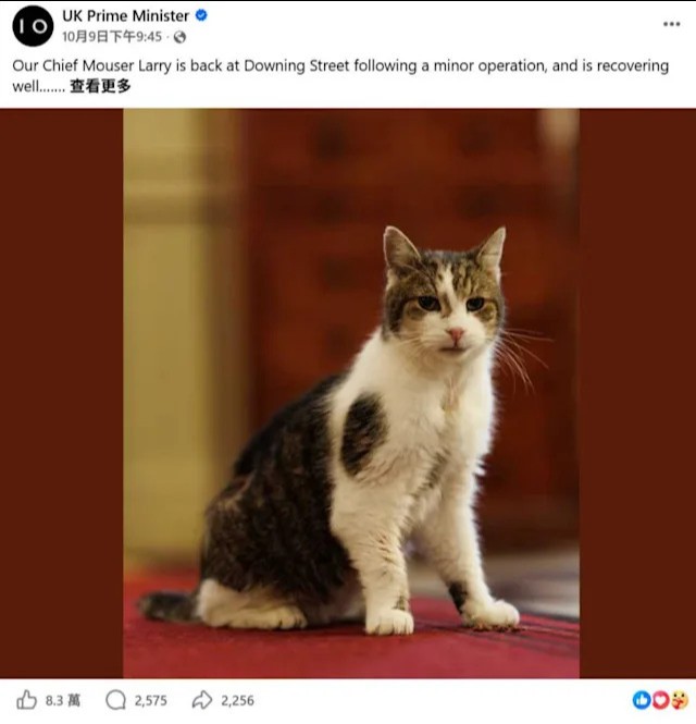 https://upload.hkgolden.media/comment/iswvdtm2.ipbp0jlrbgv.pwiapetyqlr.mby.jpg