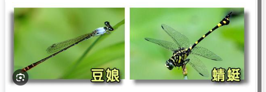 https://upload.hkgolden.media/comment/jnow1m2u.ccsnbnuvqby.chi1ygrnjhe.osc.png