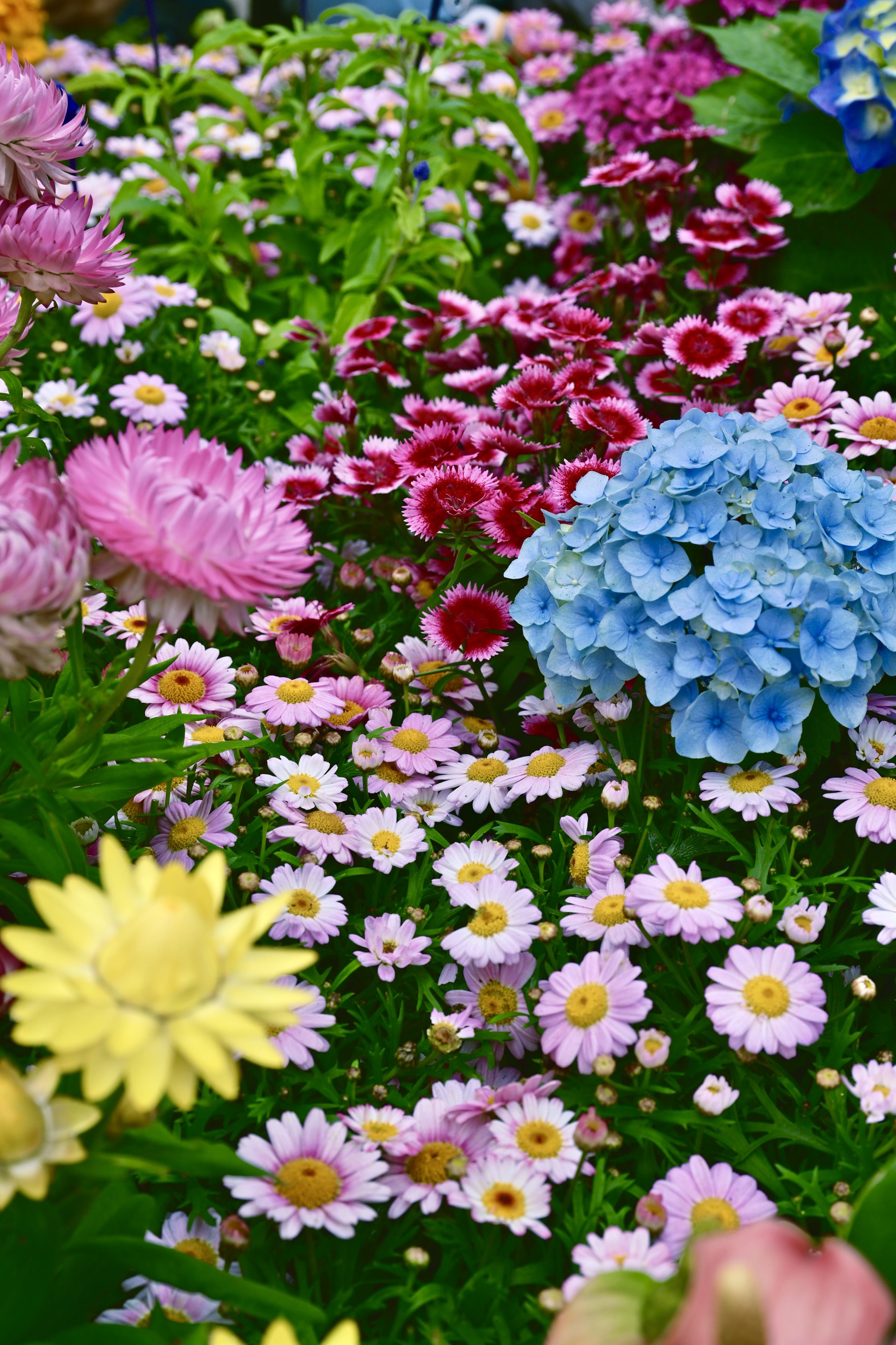 https://upload.hkgolden.media/comment/jsyqmtqj.xsx0254vpjn.3szgahrotrv.g13.jpg