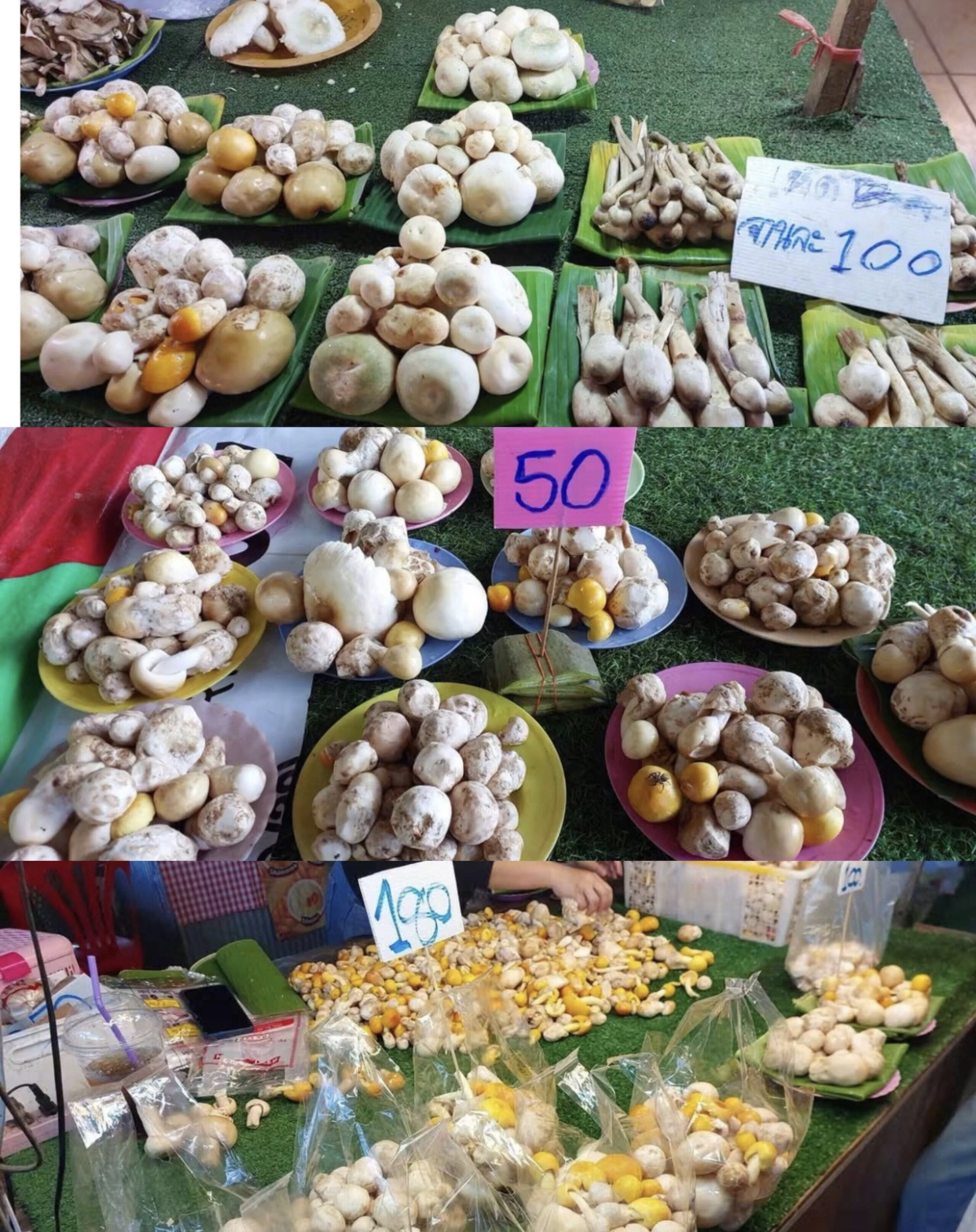 https://upload.hkgolden.media/comment/k5qgvq2s.nj5wibuywio.3hdjuut3unw.wah.jpg