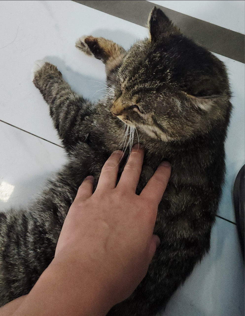 https://upload.hkgolden.media/comment/kezb5d1q.pd3aumief3s.3mtygqjunkd.koe.jpg