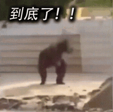 https://upload.hkgolden.media/comment/m3fx5nl1.xtaitix4bfa.5ixszt32vw4.h5b.gif