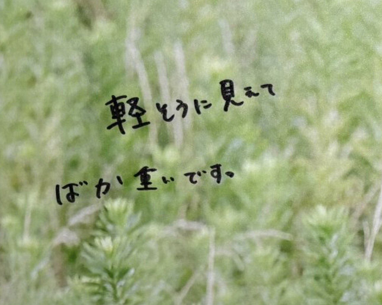 https://upload.hkgolden.media/comment/mh4yhhqu.cczwaqwlm5w.aogxty3afoc.hrp.jpg