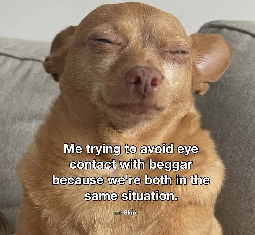 https://upload.hkgolden.media/comment/mjzfm5se.dfshqhkcjkf.jwcyfmt3k0y.pot.jpg