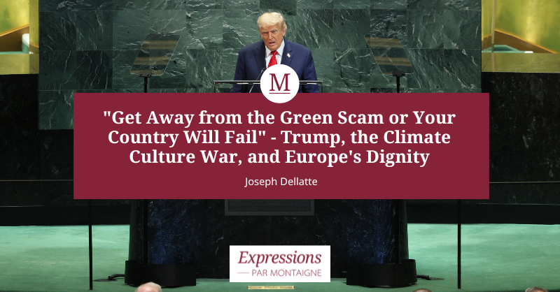 https://upload.hkgolden.media/comment/mrle0vsn.4jfcs5htfh1.xet1l5jdwyt.bhv.png