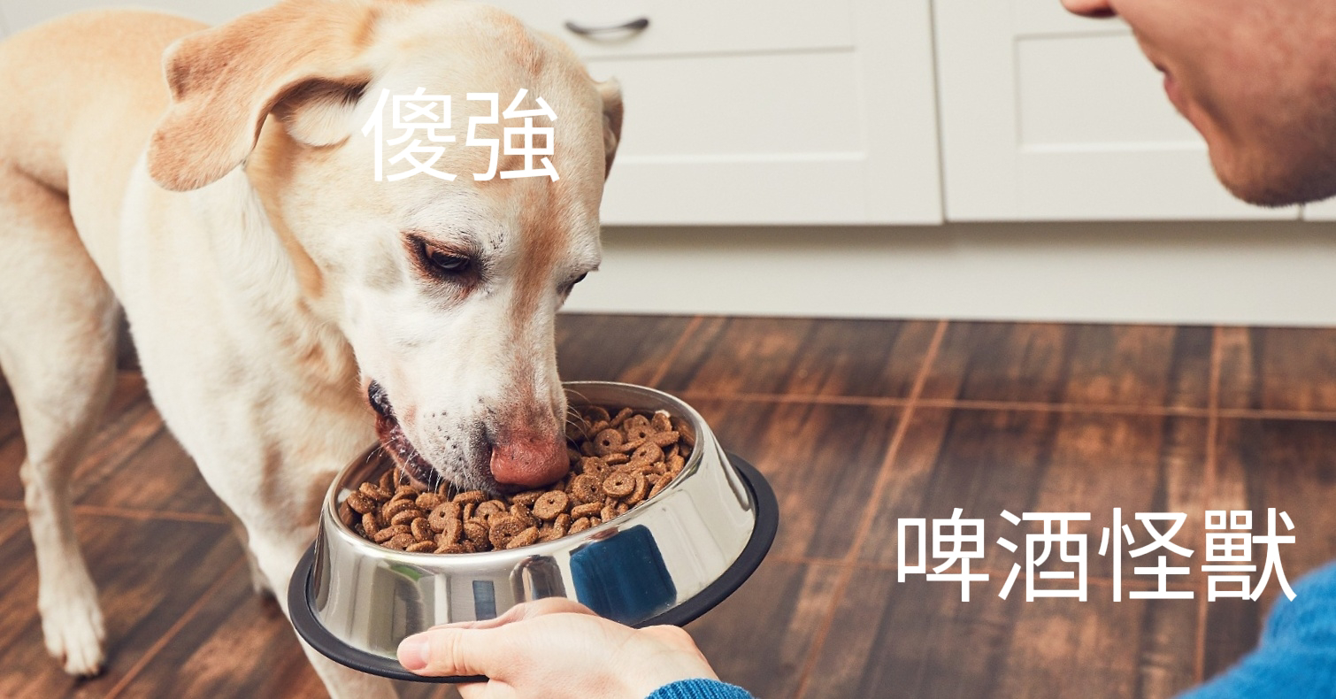 睇韓綜驚見雨狗 - 香港高登討論區