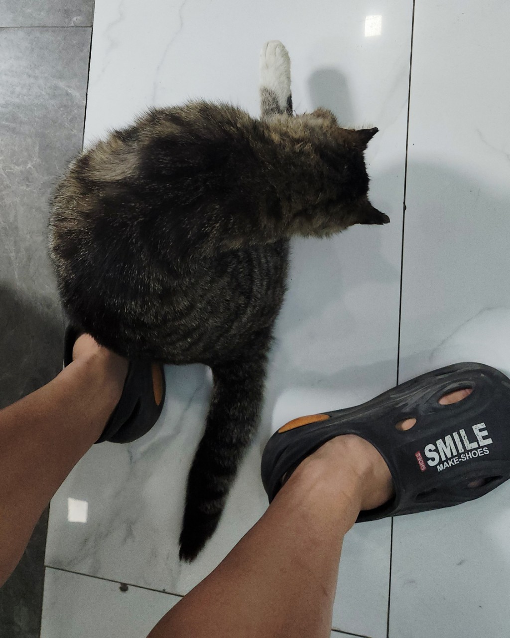 https://upload.hkgolden.media/comment/n4ixurar.gvkkxz1uts3.cmsvcdmgxkz.5zx.jpg