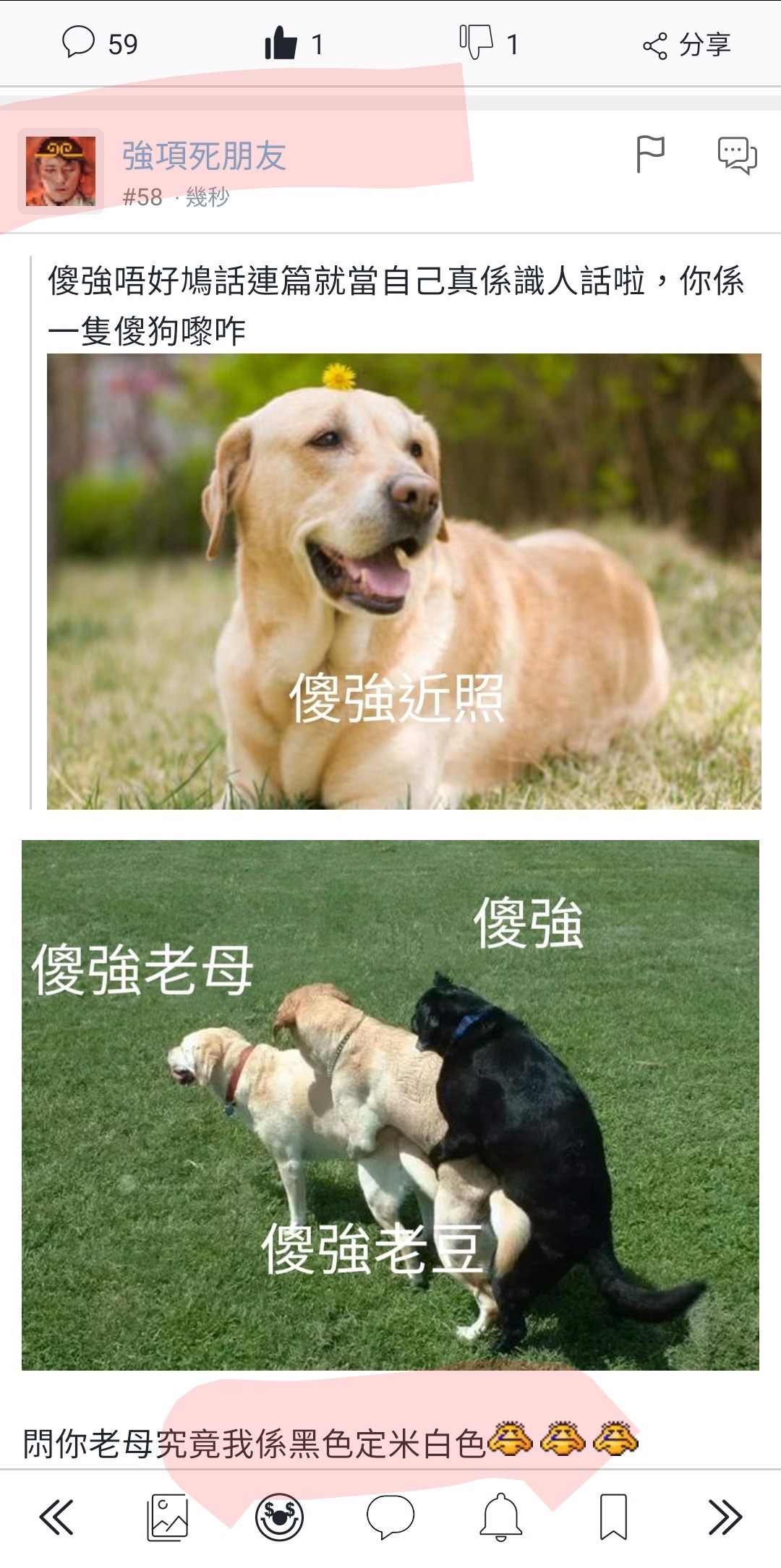 睇韓綜驚見雨狗 - 香港高登討論區