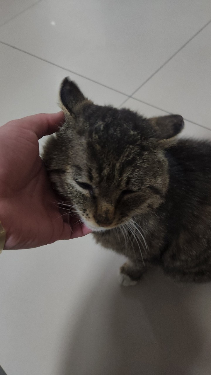 https://upload.hkgolden.media/comment/nw42rfzr.4tfd35jqswz.qnhjsqn1emd.lxv.jpg